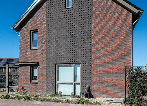 20250318-7370-lr